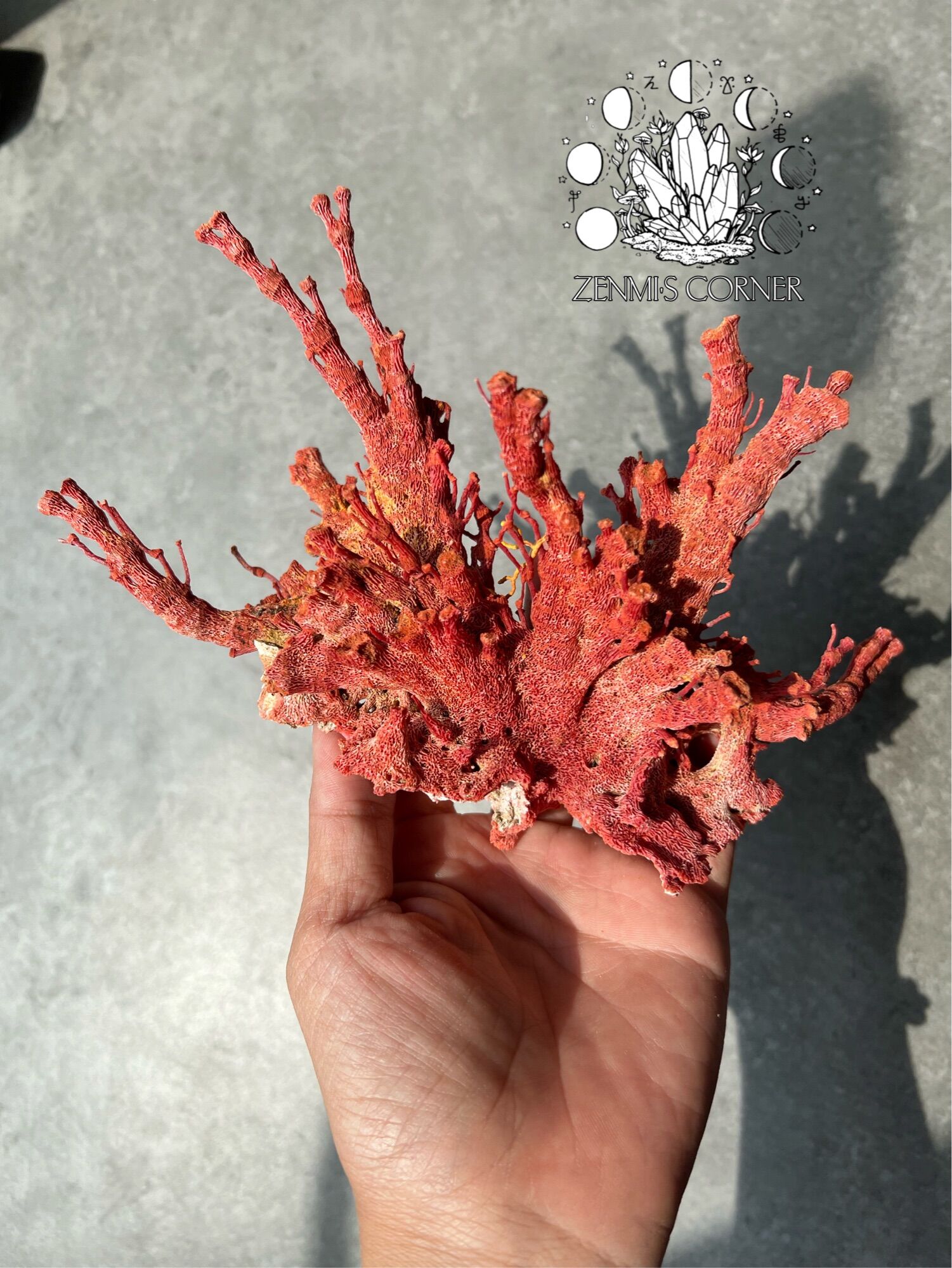 Red coral - 100g san hô đỏ tự nhiên