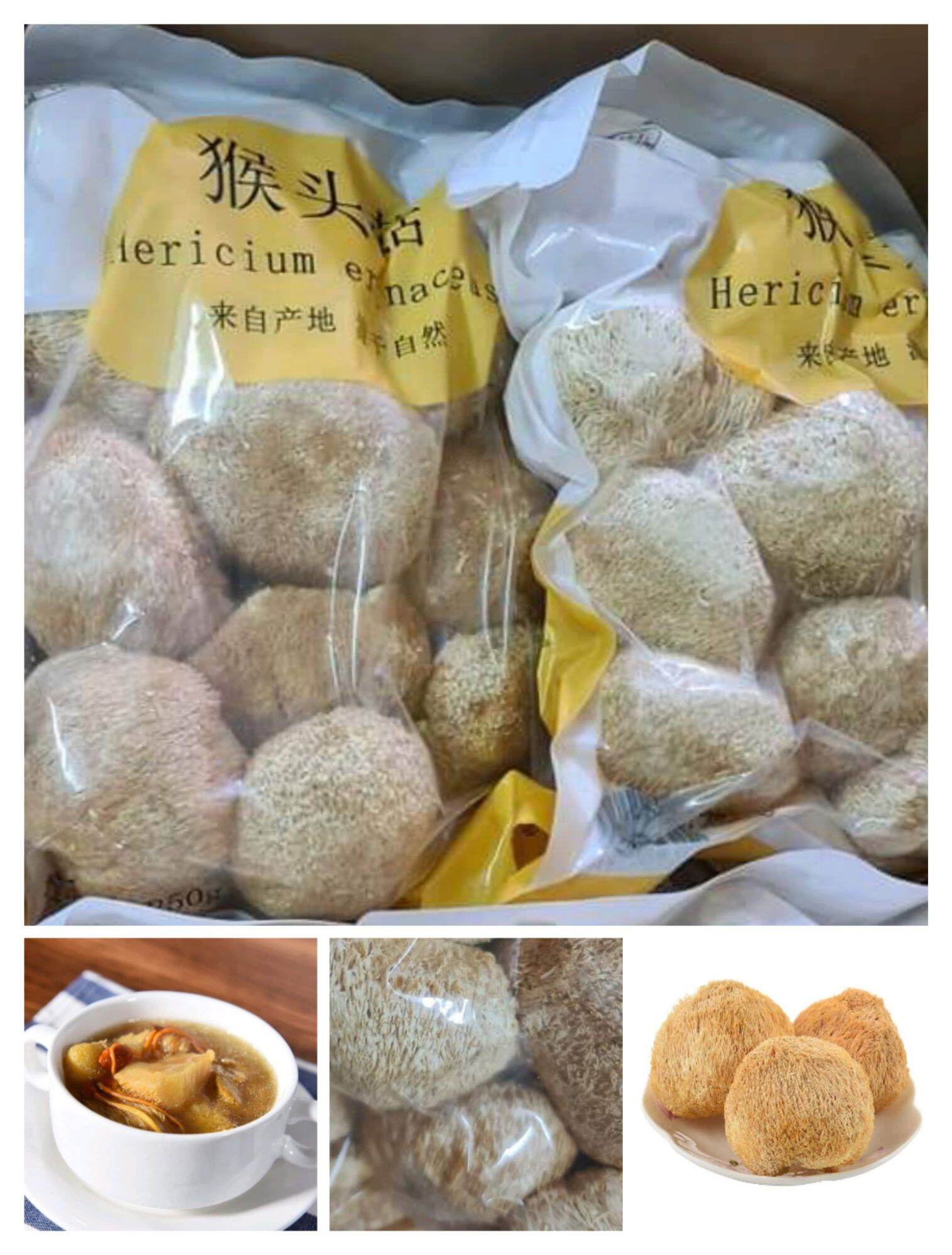 Nấm đầu khỉ Triết Giang