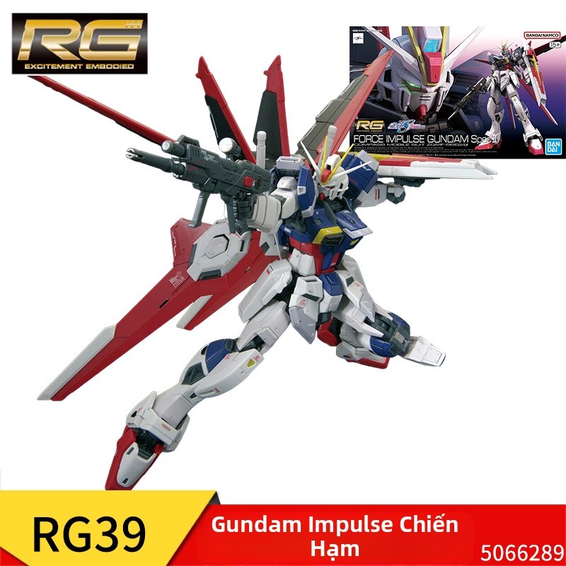 Bandai | Bộ Đồ Chơi Mô Hình Multi-Series RG Gundam