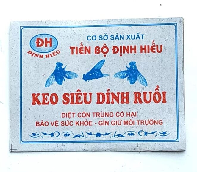 Combo 10 miếng keo dính ruồi Định Hiếu