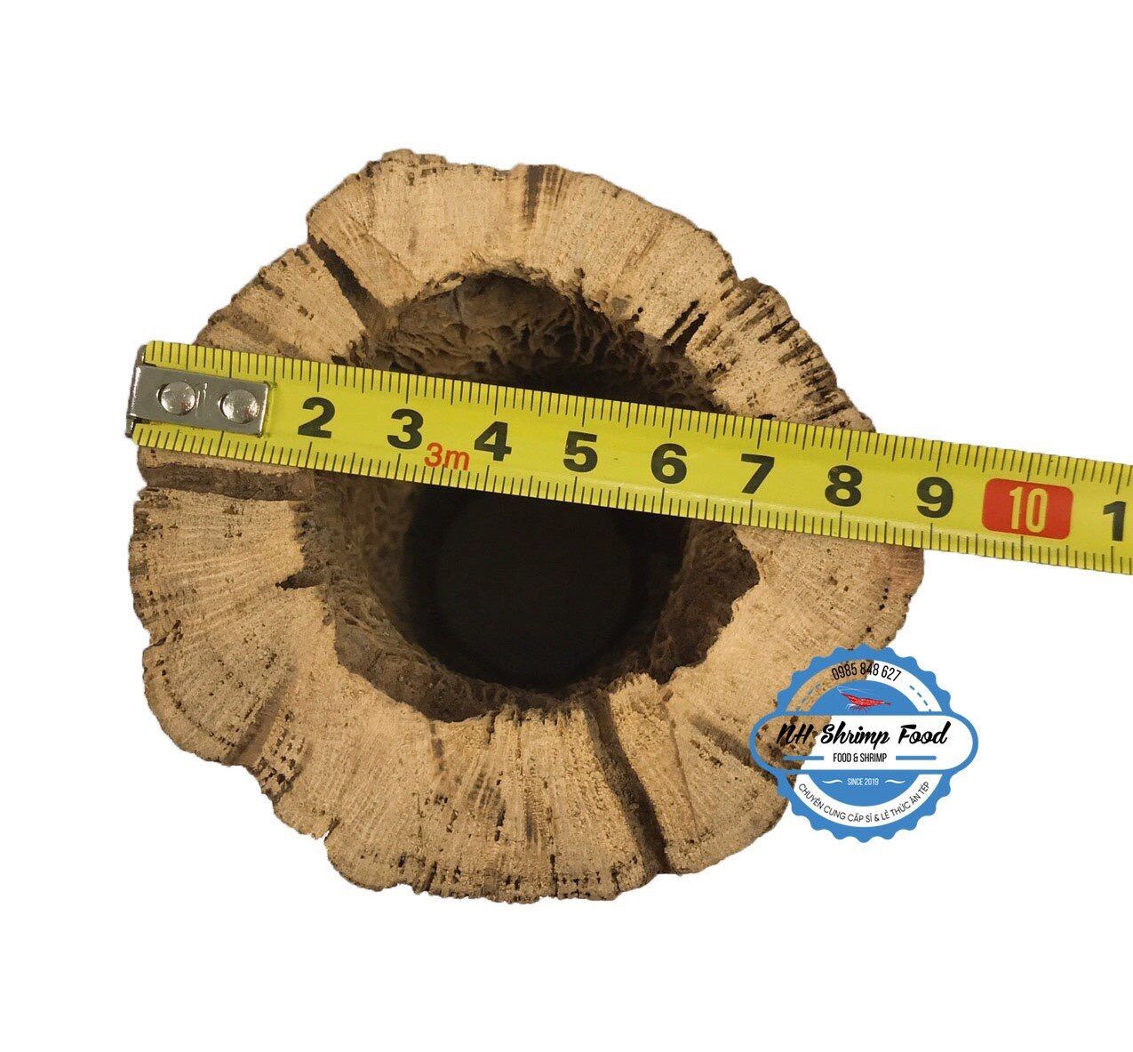 LŨA XƯƠNG RỒNG TEDDY BEAR CHOLLA CACTUS WOOD.