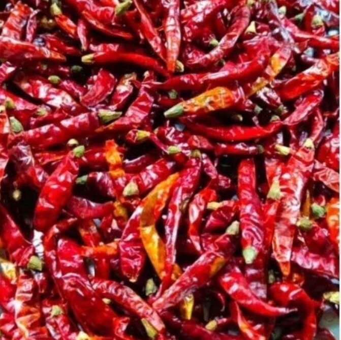 200gr ớt khô gia vị nguyên trái thơm cay đậm vị