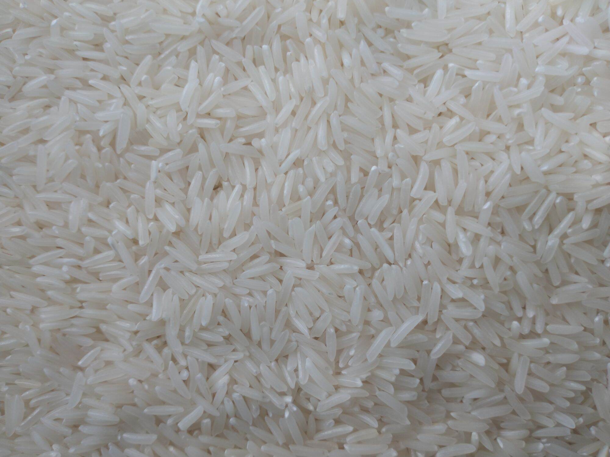 Gạo ST 25 Đặc Sản Sóc Trăng