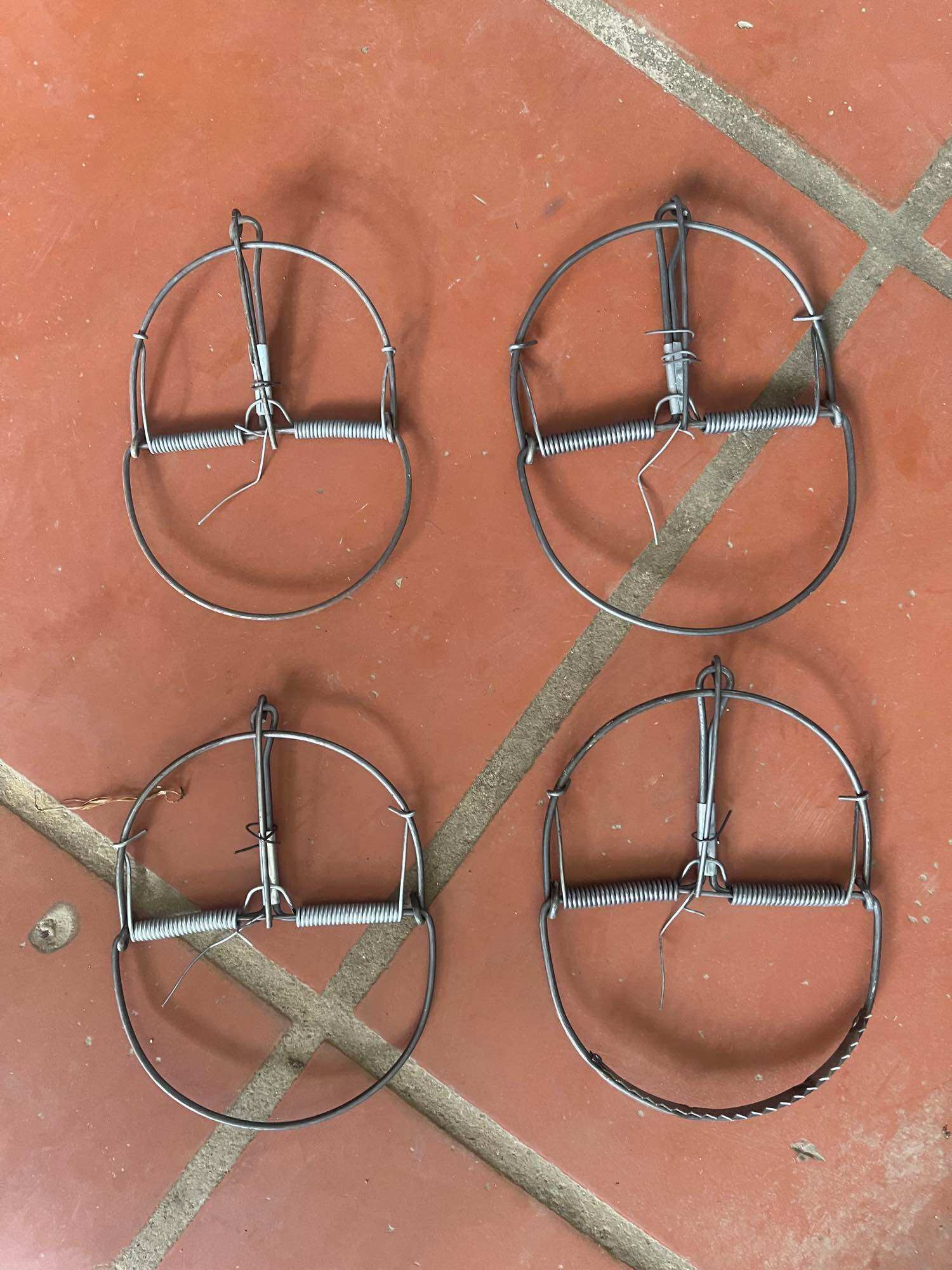 10 BẪY CUNG DIỆT CHUỘT HIỆU QUẢ 3 cỡ