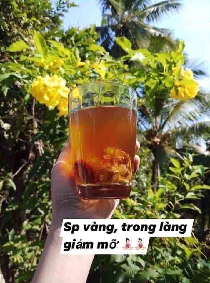 Combo 15 gói trà tiêuu hao m.ỡ thừa