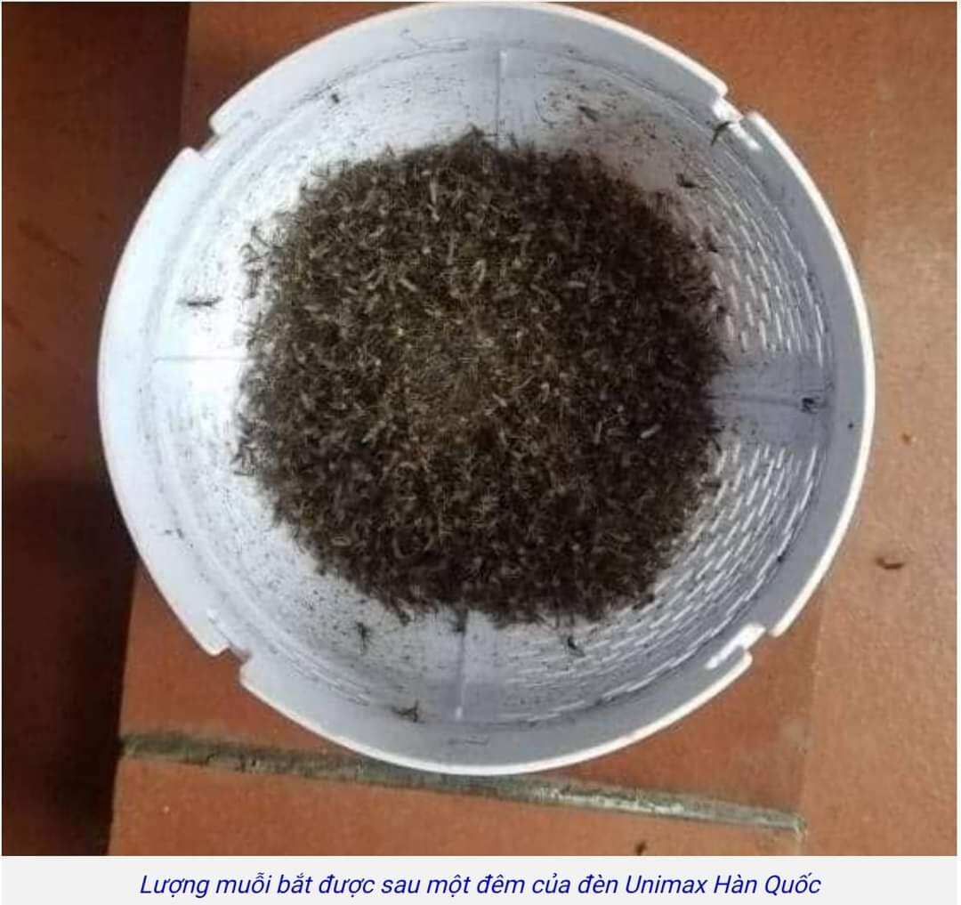 Đèn bắt muỗi Unimax Hàn Quốc