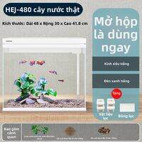 sunsun | Bể Cá Tự Chạy Dễ Bảo Trì