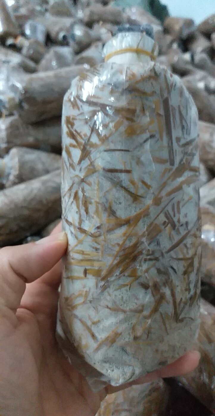 Combo 20 bì meo giống nấm rơm