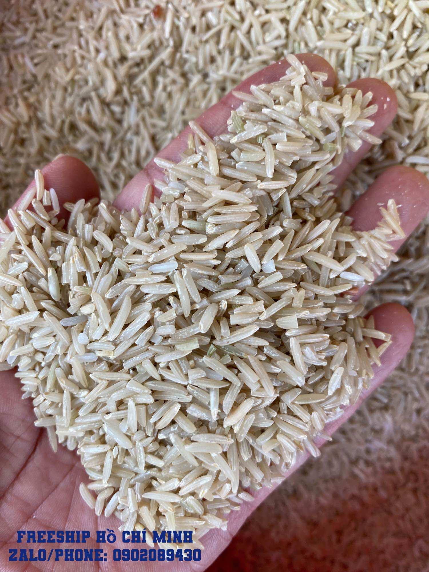 GẠO LỨT NGUYÊN CÁM ST25 ( MỀM DẺO --1KG)
