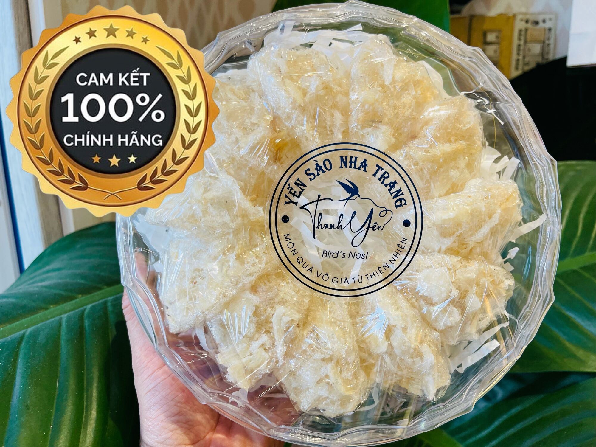 Yến sào Nha Trang tinh chế vụn đắp chân loại to 100gram xưởng Thanh Yên