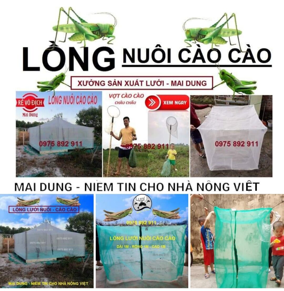 Lồng lưới nuôi cào cào 3x2x2