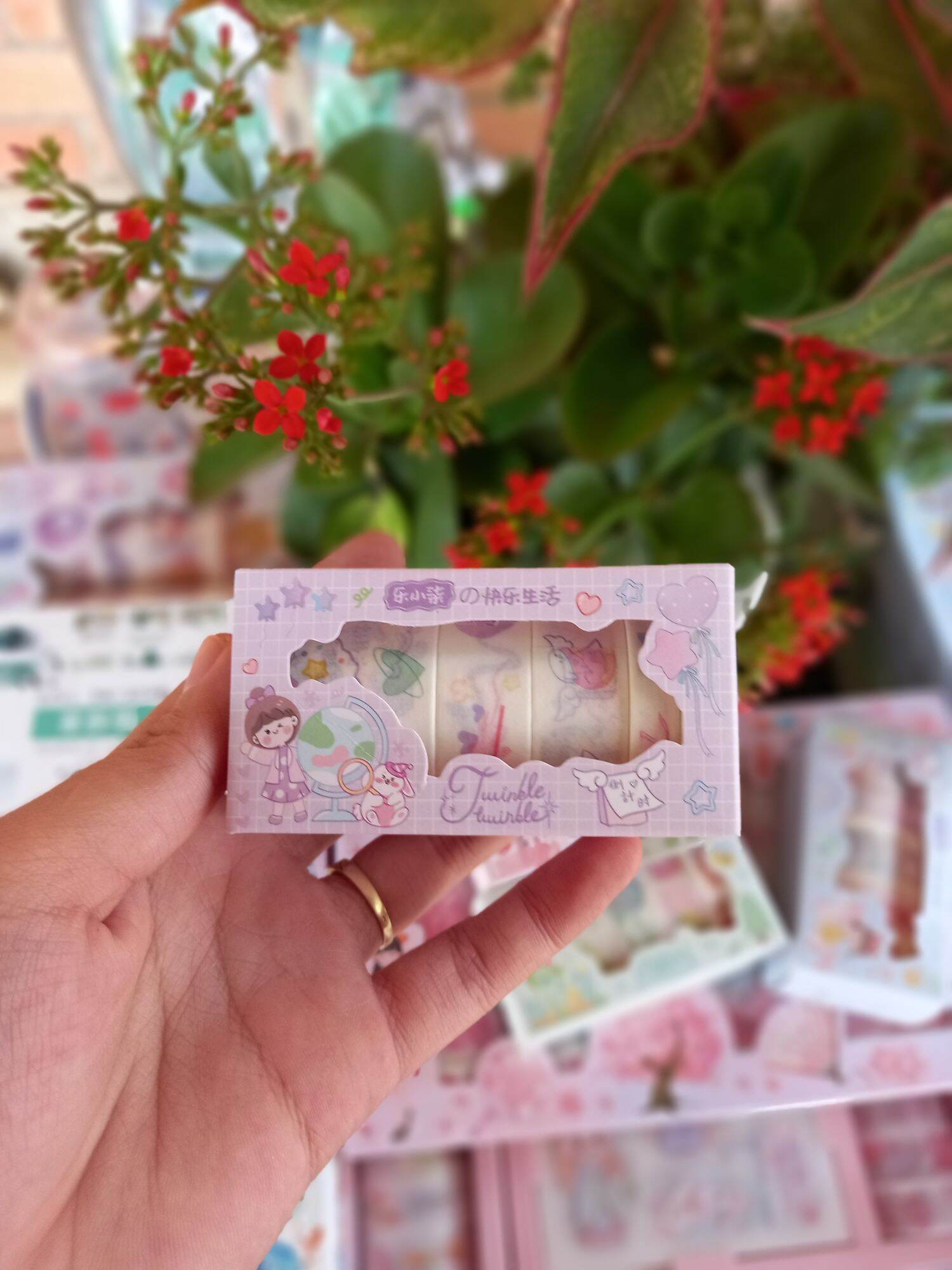 Washi cuộn ( hộp 5 cuộn đủ kích thước )