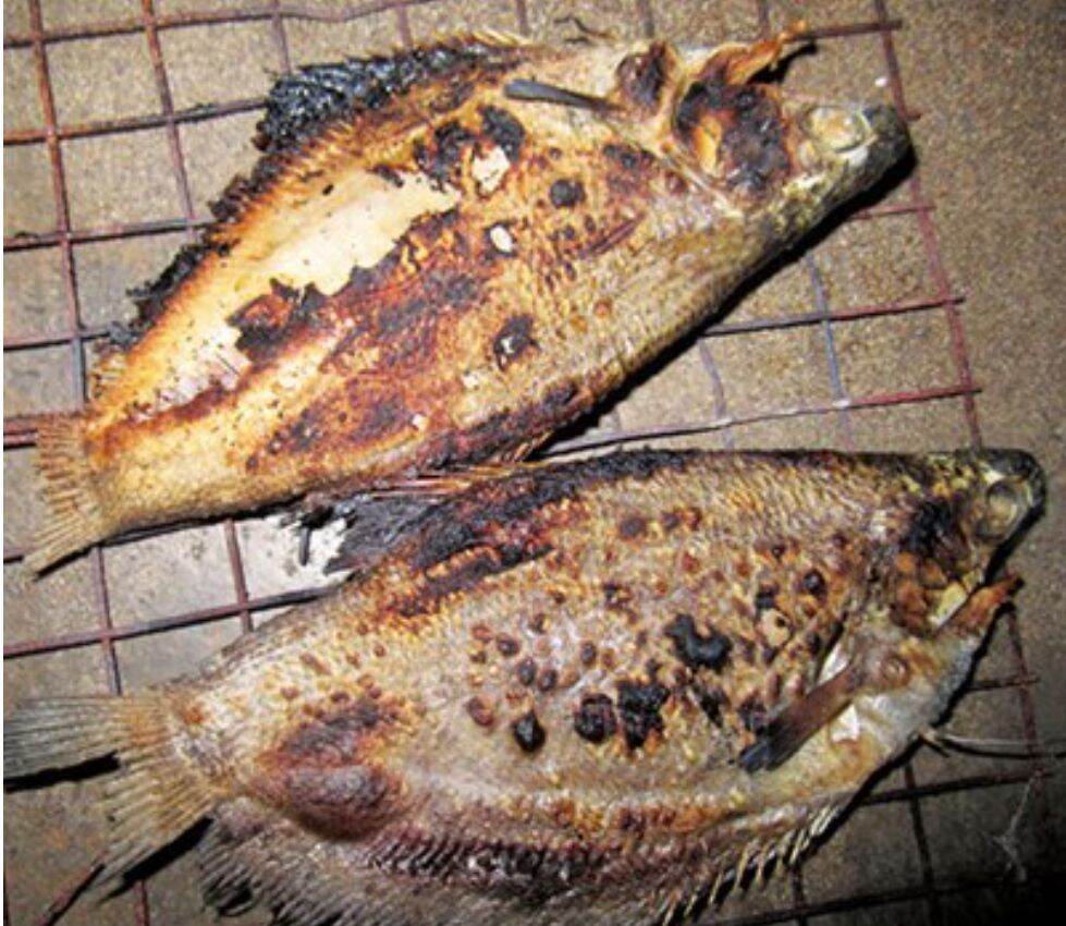 Khô cá lò tho ( cá sặc)-400g