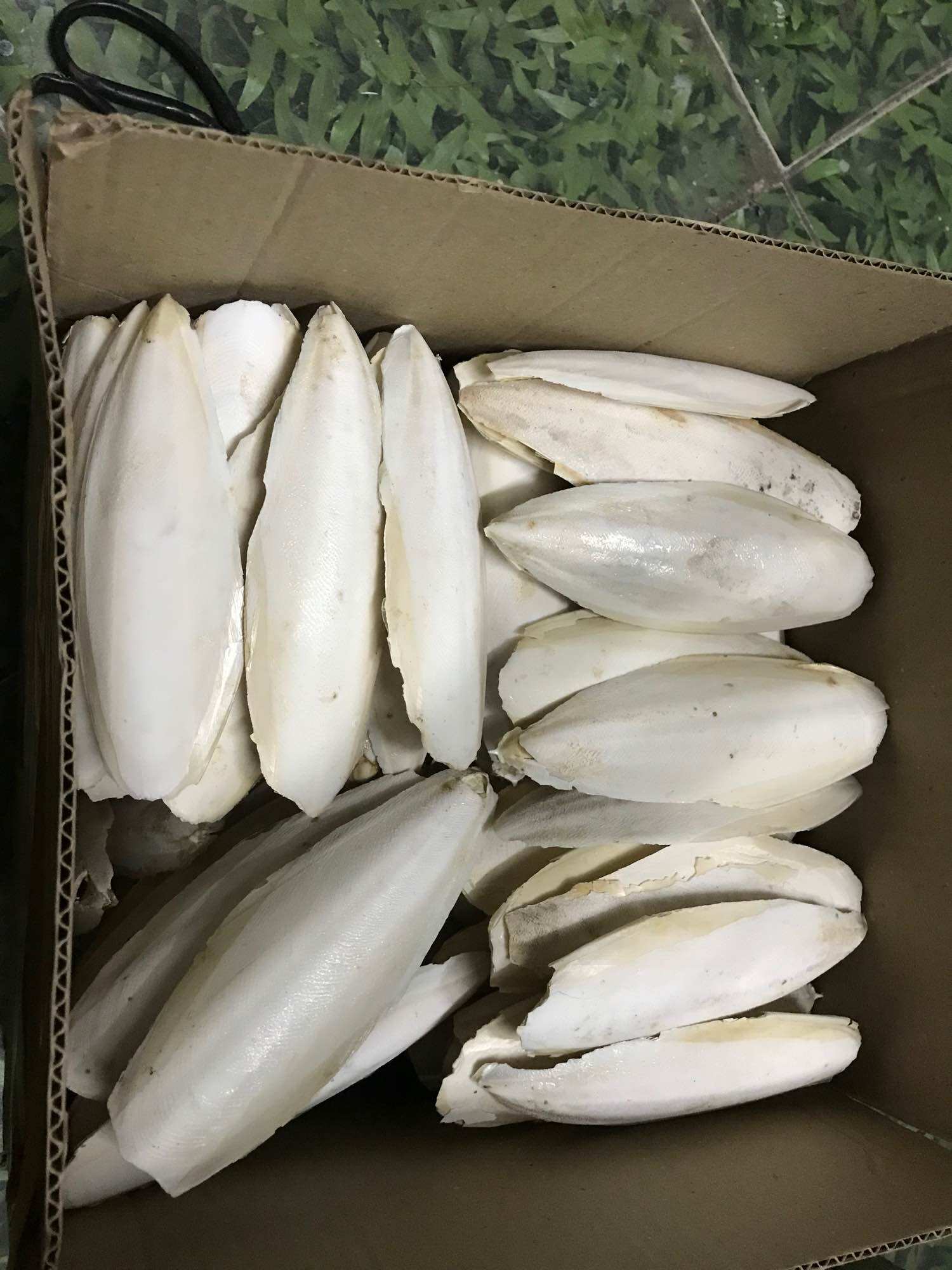 Nang mực khô 1kg