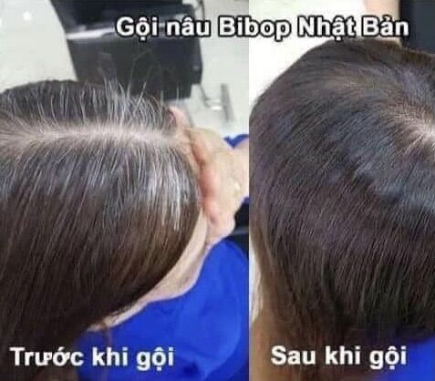 Dầu Gội (Nâu-Đen) Tóc Phủ Bạc Tinh Chất Thảo Dược Bi.Bop