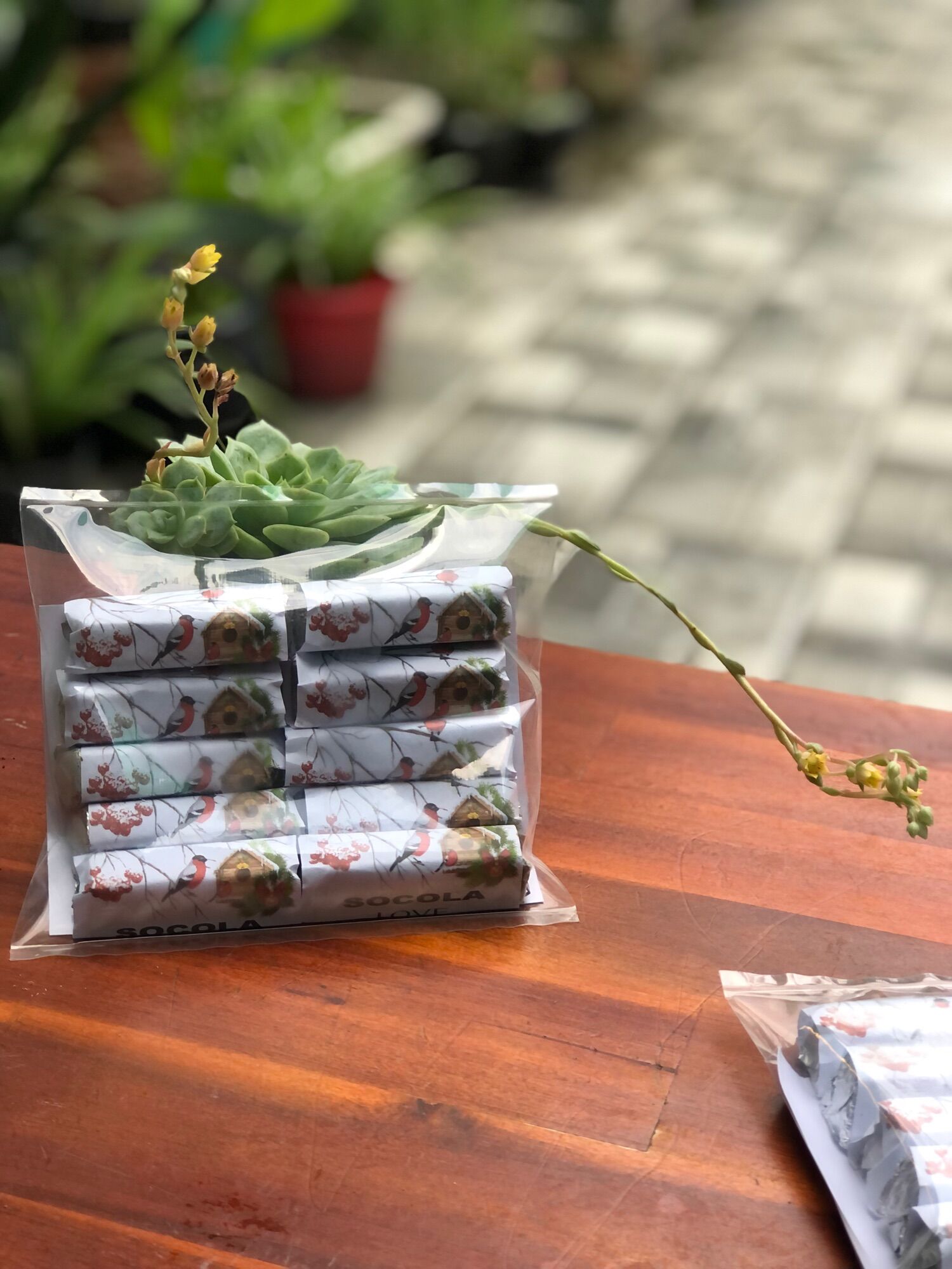 Túi Sô Cô La Trường Thọ ( 10 thanh * 20 gram )@@