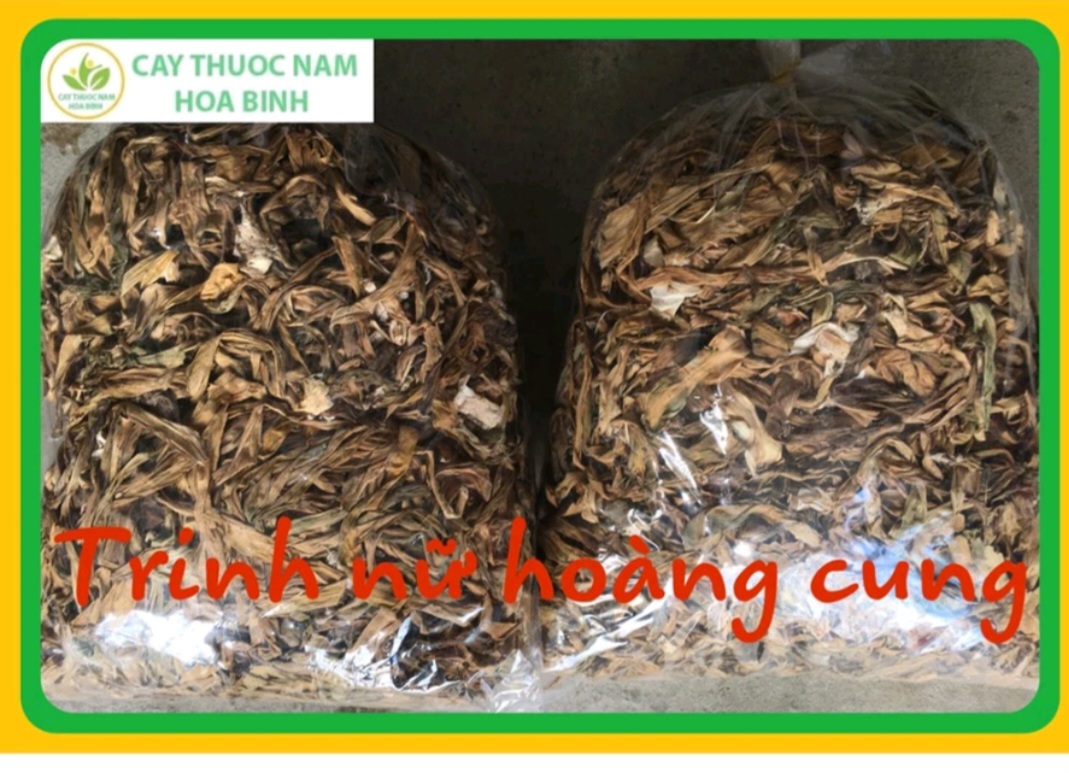 [ Giá Tại Nguồn ] 500g Trinh Nữ Hoàng Cung khô, sạch thơm