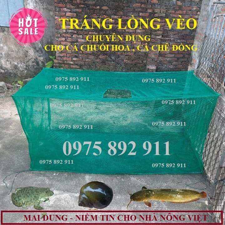 Tráng lồng vèo lưới có nắp 2x1x1