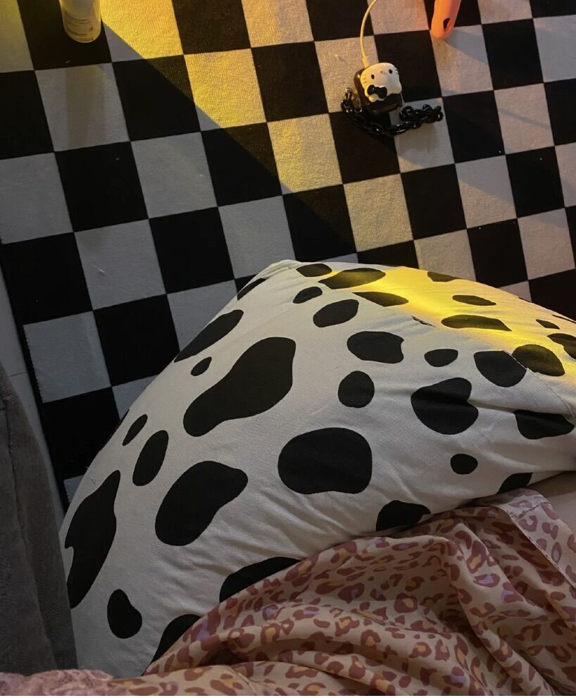 Ghế lười bò sữa Gen Z