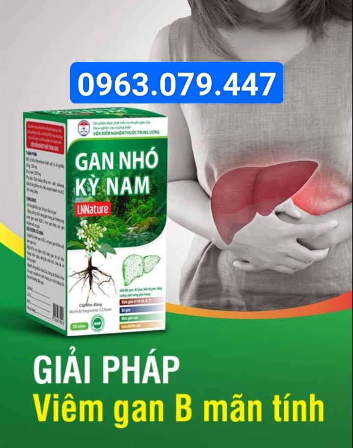 Combo 10 hộp gan nhó kỳ nam hỗ trợ gan,hạ men gan