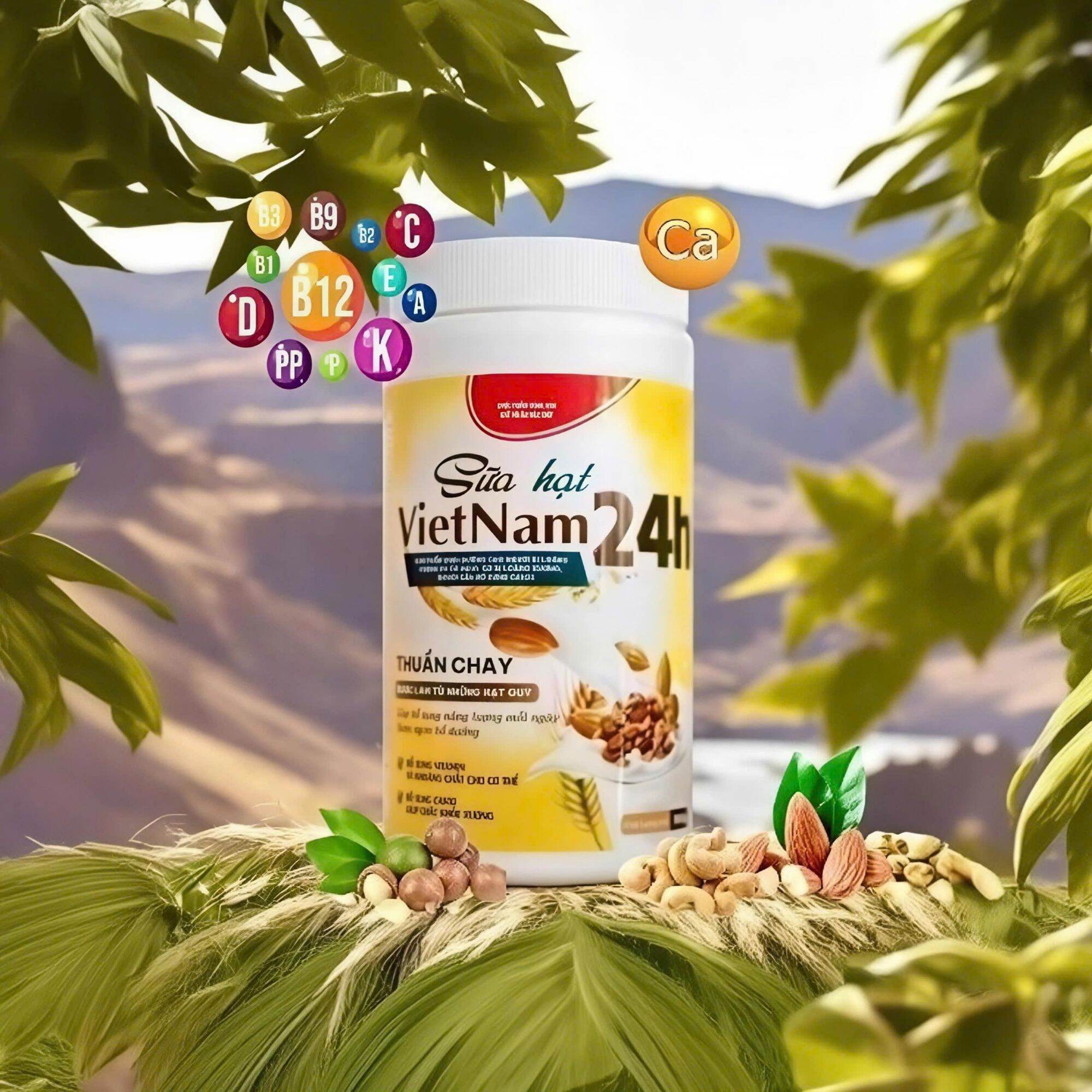 Sữa hạt dinh dưỡng thuần chay Vietnam 24H hộp 1kg (24H vegan Vietnamese nut milk)
