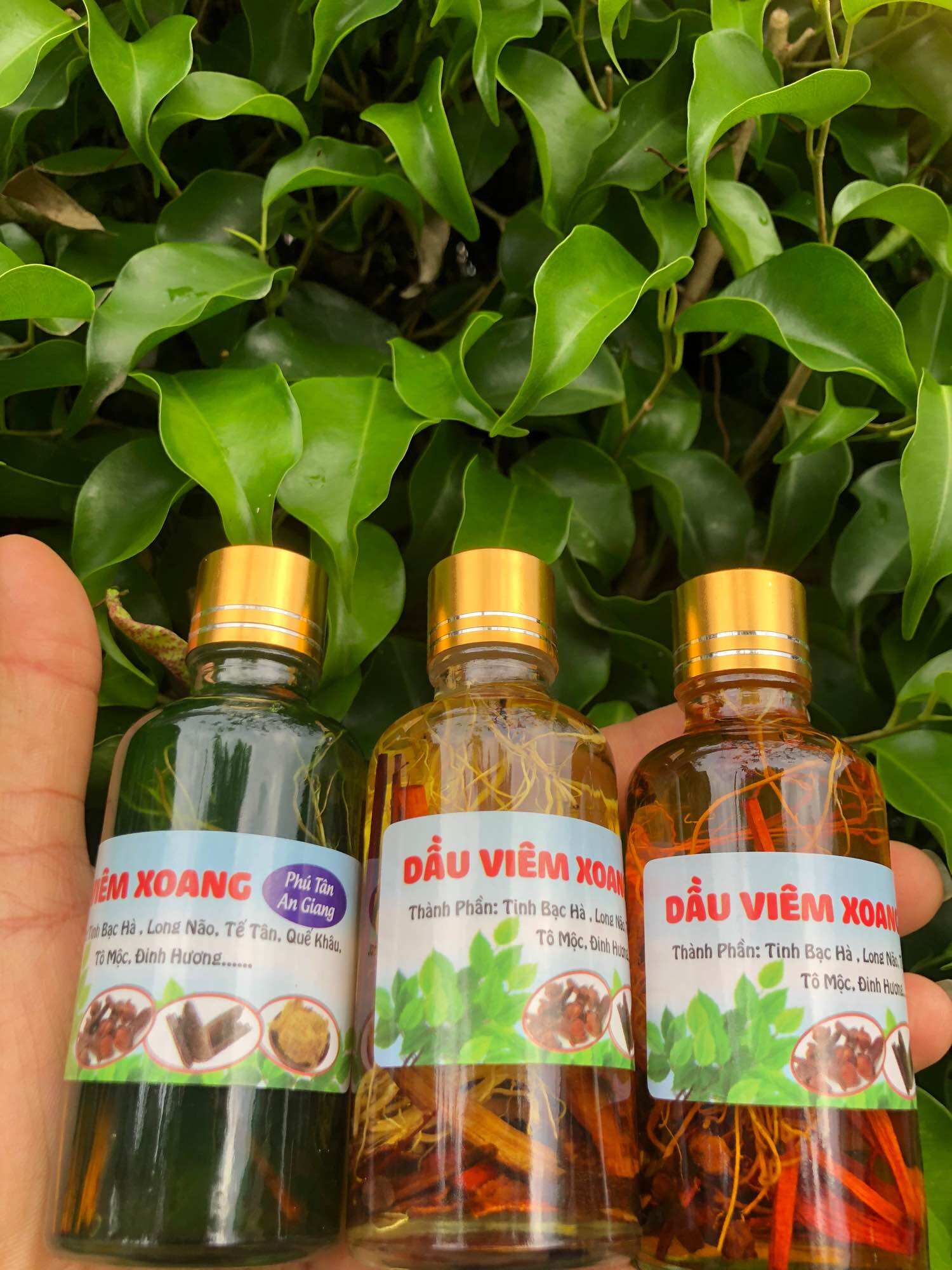DẦU VIÊM XOANG VÀNG 50ML (RỄ THUỐC)