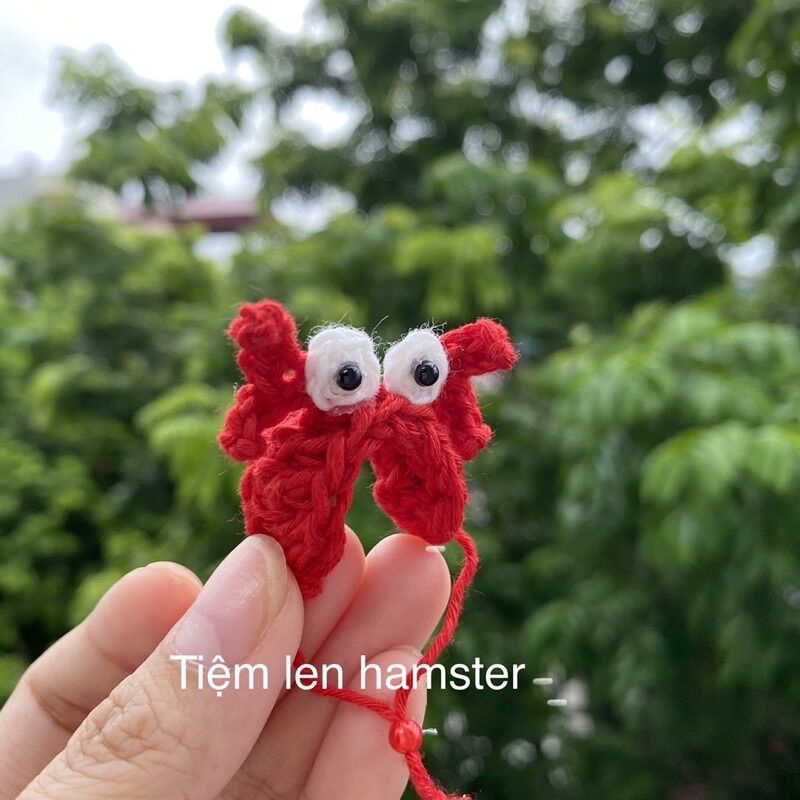 Băng đô cho hamster cua đỏ