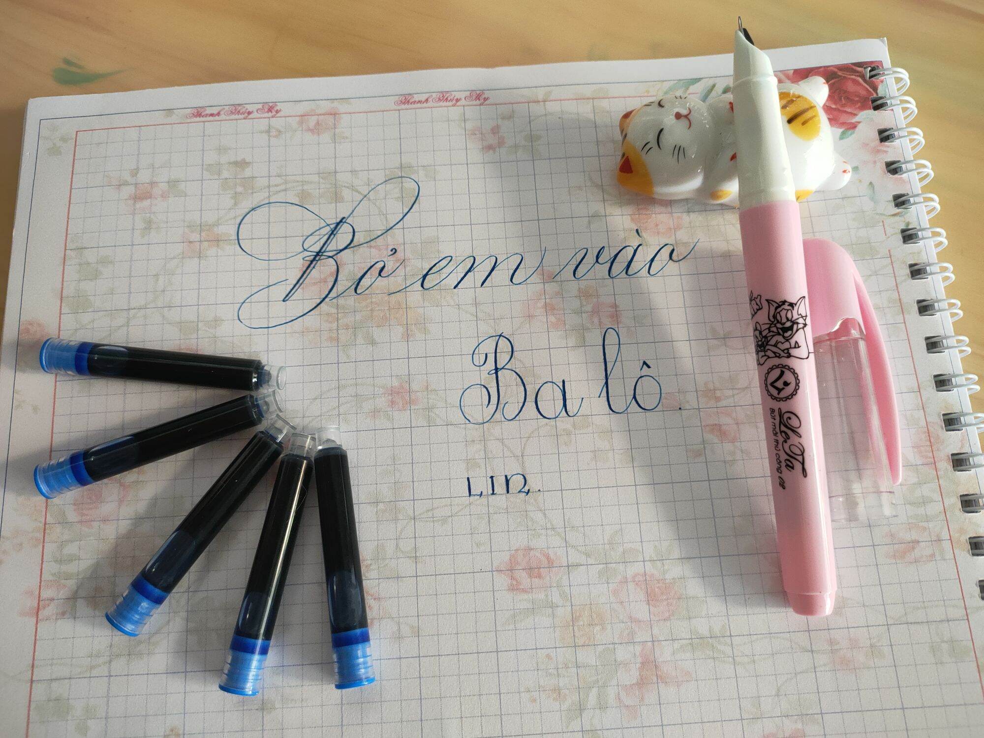[HCM]Bút máy lêta 02 ngòi lá tre êm trơn