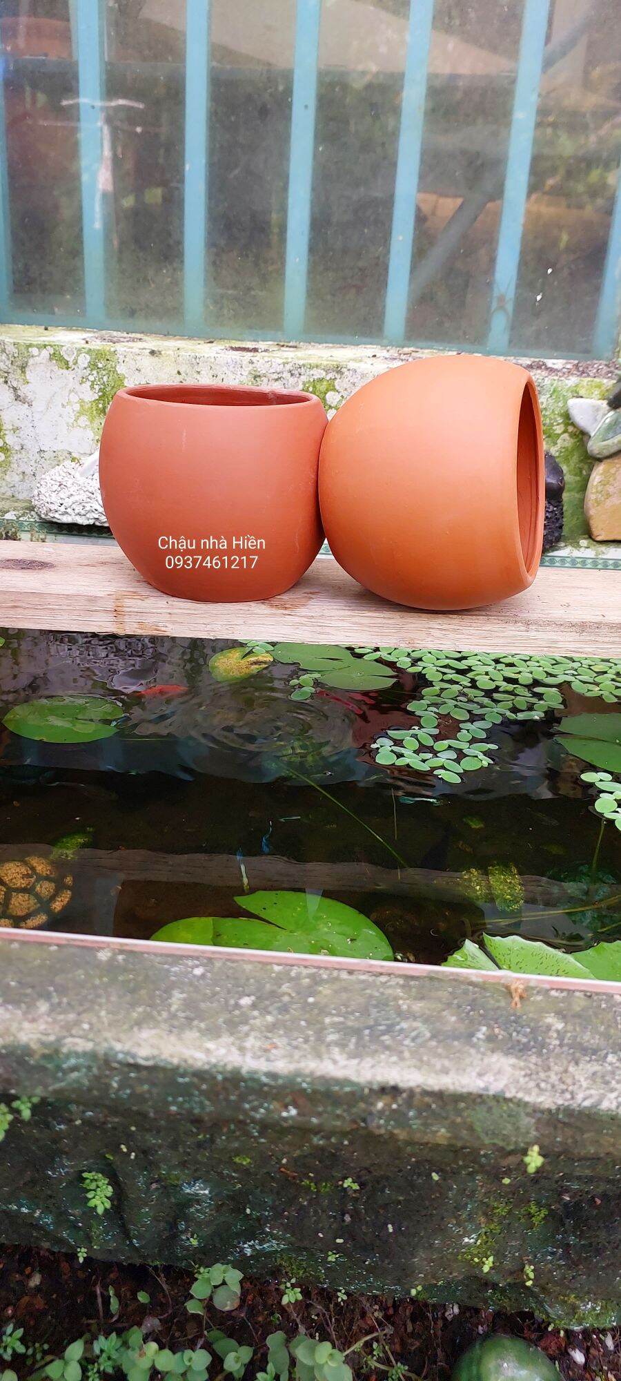 Chậu đất nung Bình Dương hình thố nhỏ m9 x c9