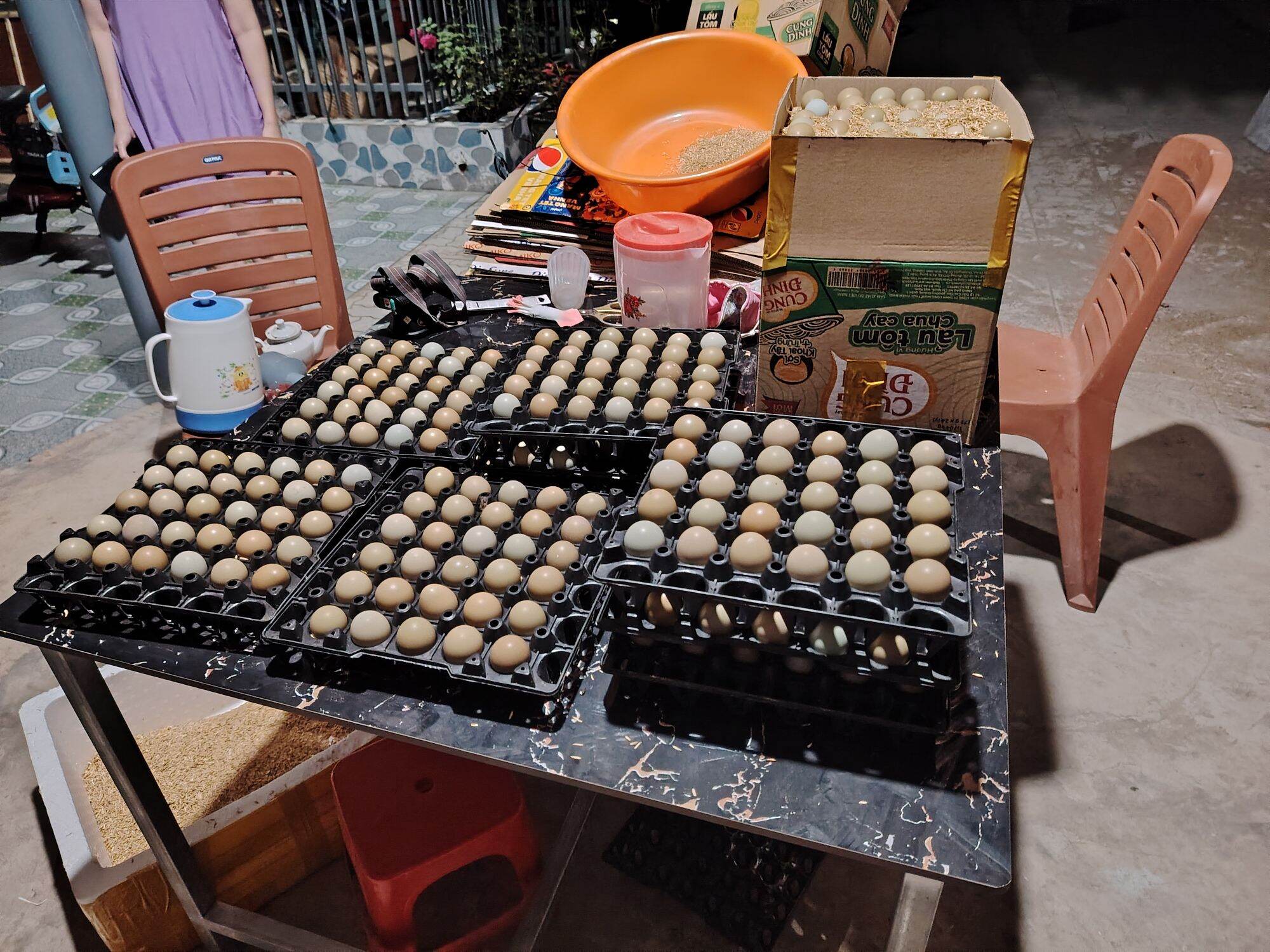 Trứng chim trĩ lạc dùng để ăn combo 10 quả