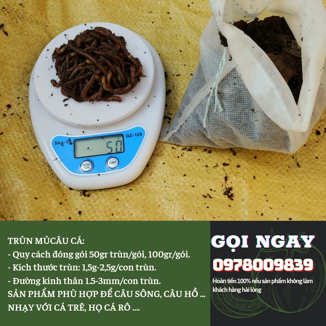 TRÙN MỦ, GIUN MỦ CÂU CÁ.