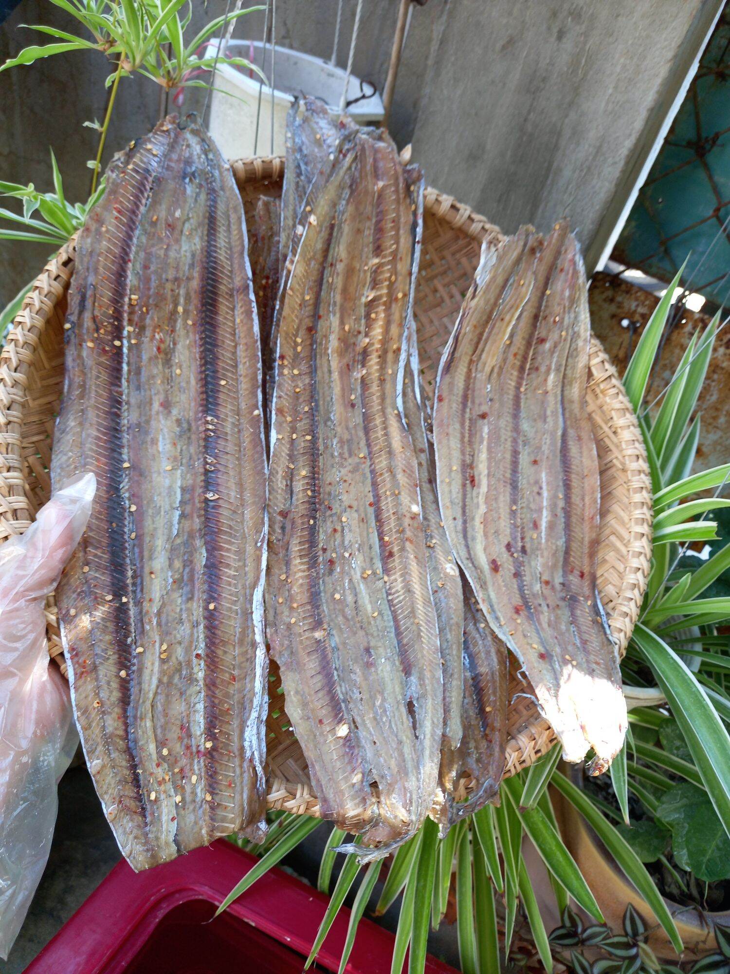 0.5kg khô cá hố rút xương có gia vị bao ngon