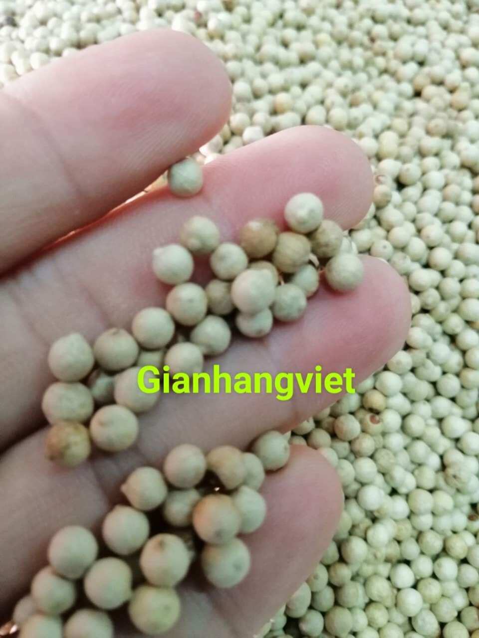 Tiêu trắng (sọ) 500gam.