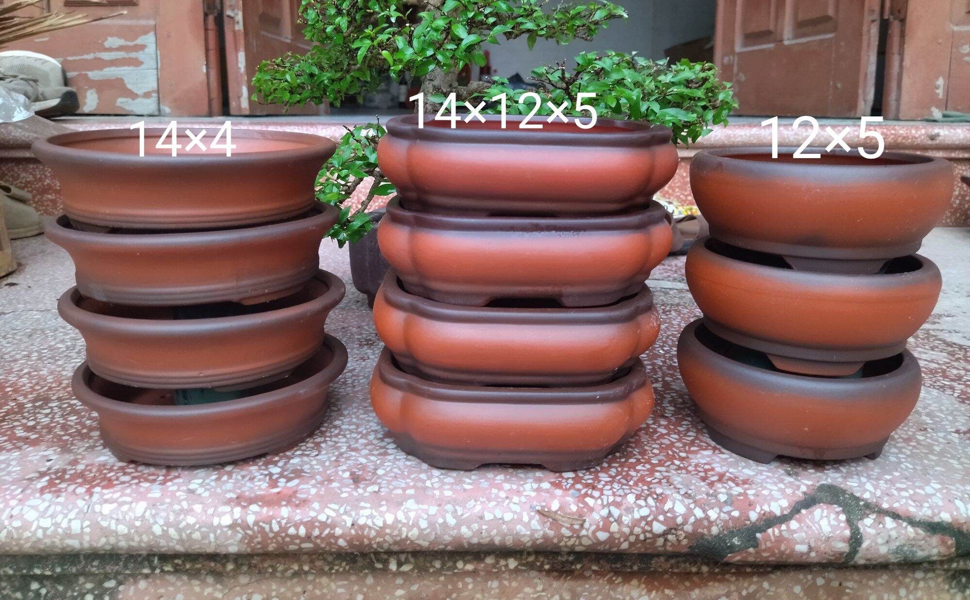 10 chậu gốm màu đỏ nhật
