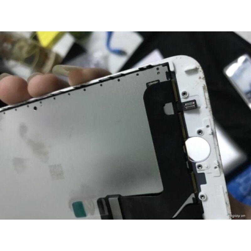Màn hình Ip 7 Plus Zin Bóc Máy 100% Chính Hãng