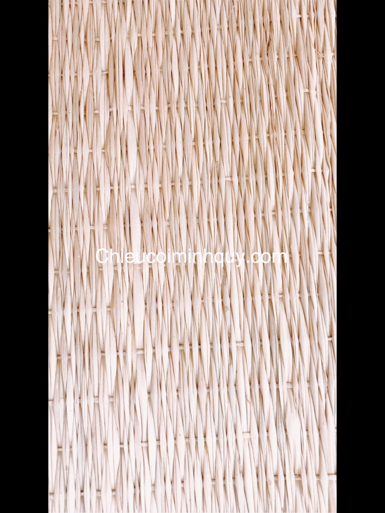 Chiếu ngủ văn phòng 65x190cm