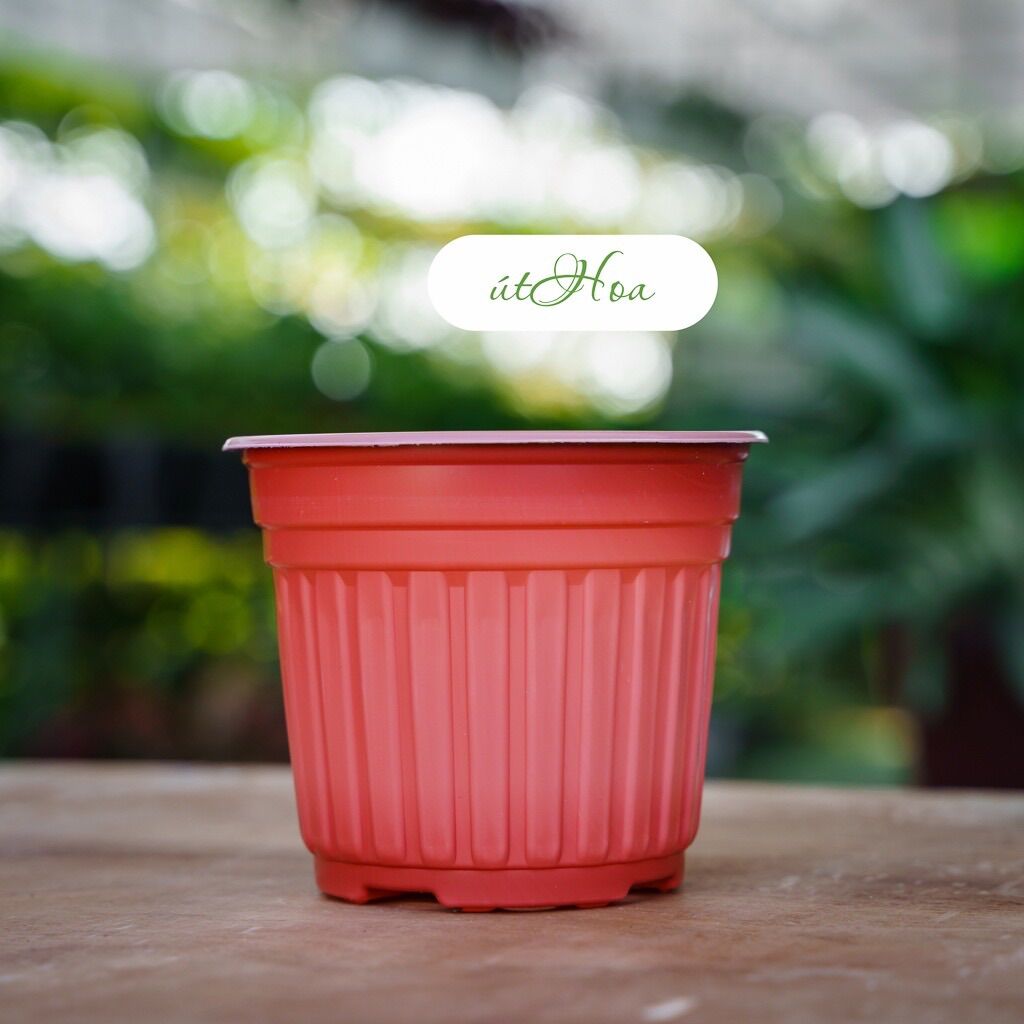 Chậu nhựa nâu N15 vành miệng cứng