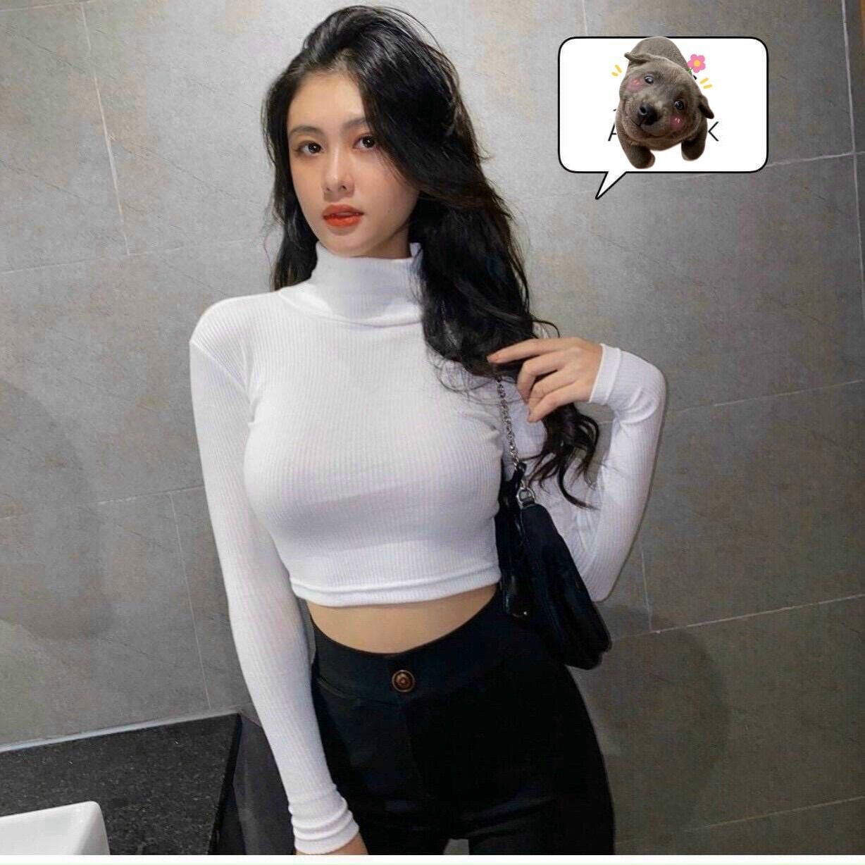 Áo cổ lọ tay dài vải gân