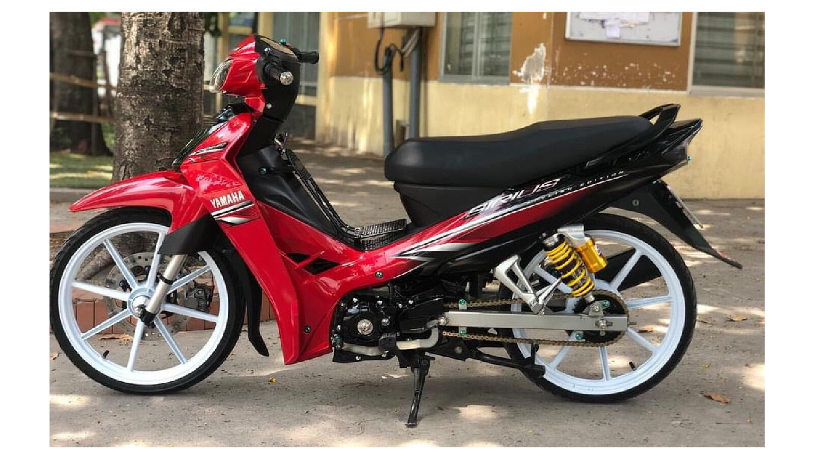 Tem sirius đỏ đen thiết kế mẫu zin tặng kèm logo trang trí