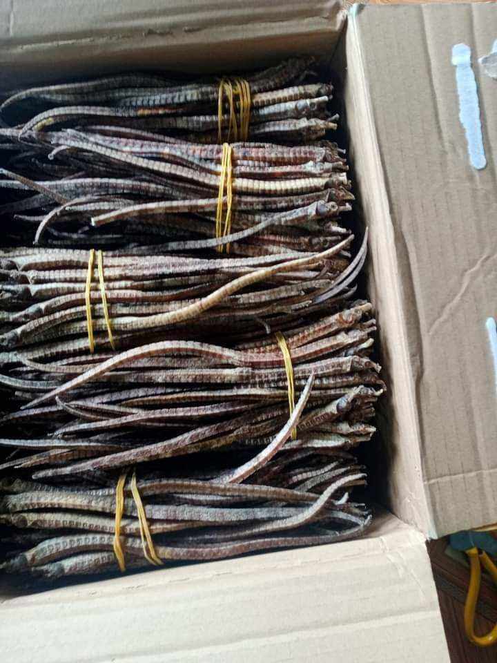 hải xà khô 20 con