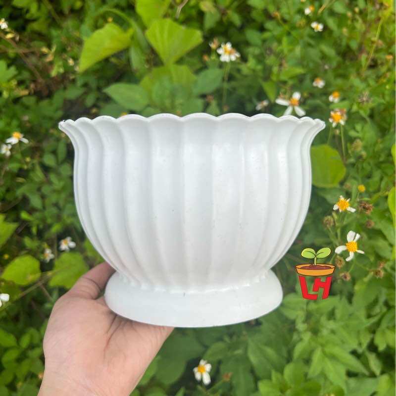 Chậu nhựa trồng cây (Chậu khía bầu)