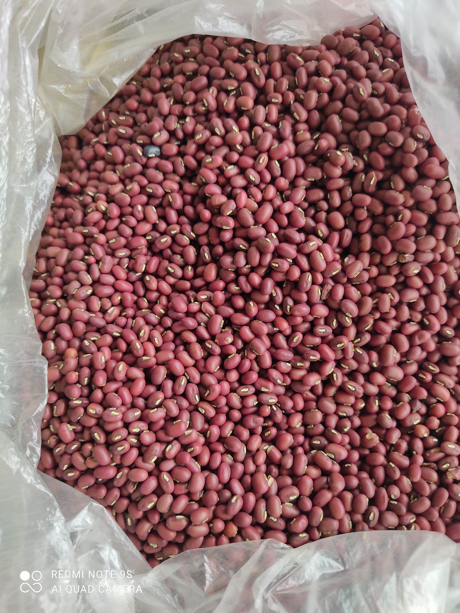 đậu đỏ hạt nhỏ/ đâu quê sạch 1kg
