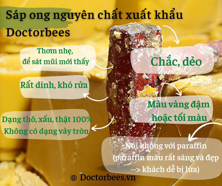 Bộ 10 viên nến tealight sáp ong tự nhiên xuất khẩu trái tim