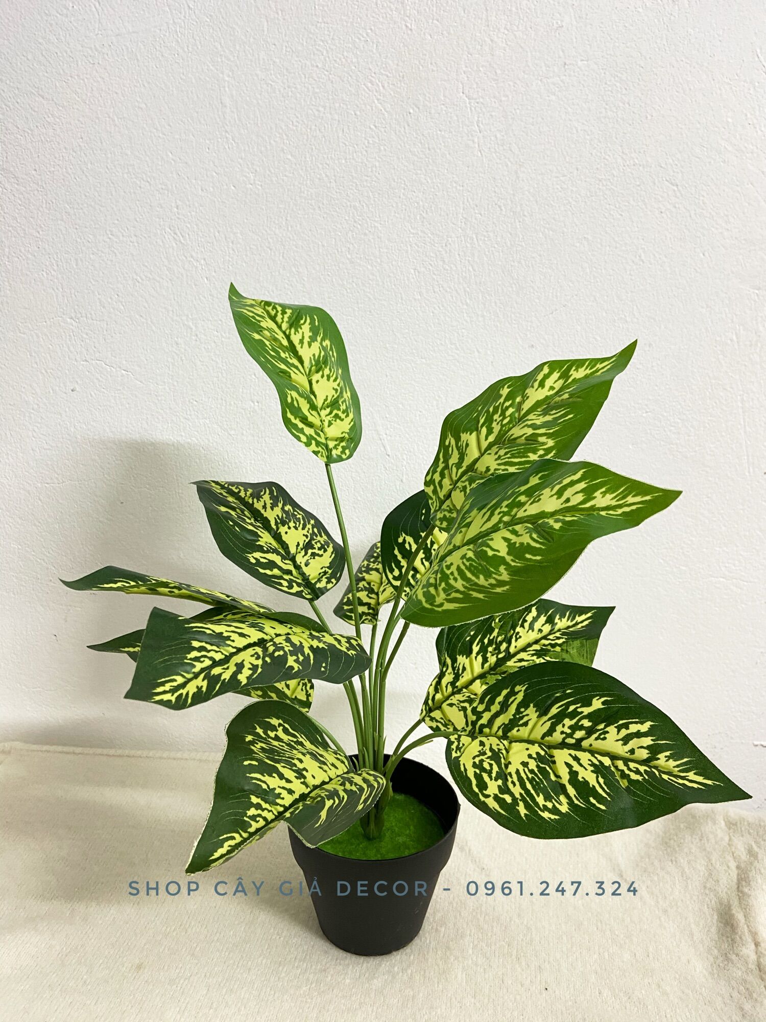 Cây giả - cây trầu bà đốm 40cm 12 lá