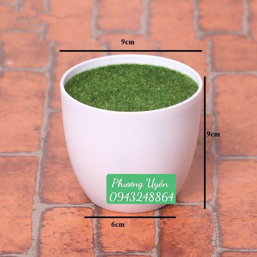 Chậu nhựa phủ rêu xanh