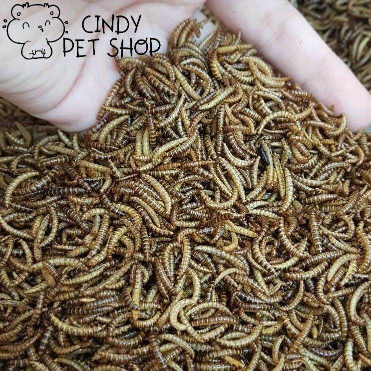 Sâu gạo mini sấy khô cho Hamster, Nhím, Sóc (100g)