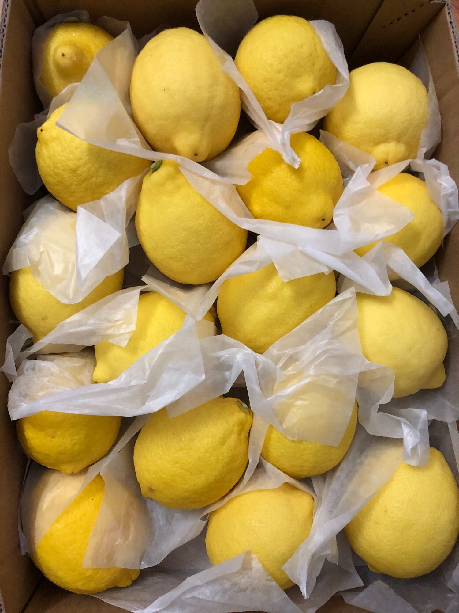 Chanh Vàng Mỹ nhập khẩu - 1kg