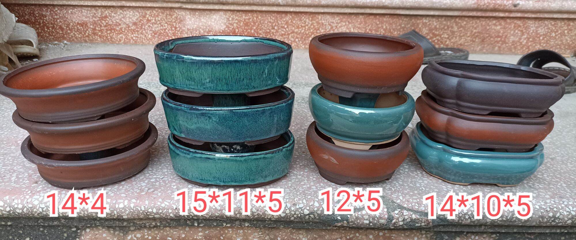 13 chậu bonsai đủ mẫu
