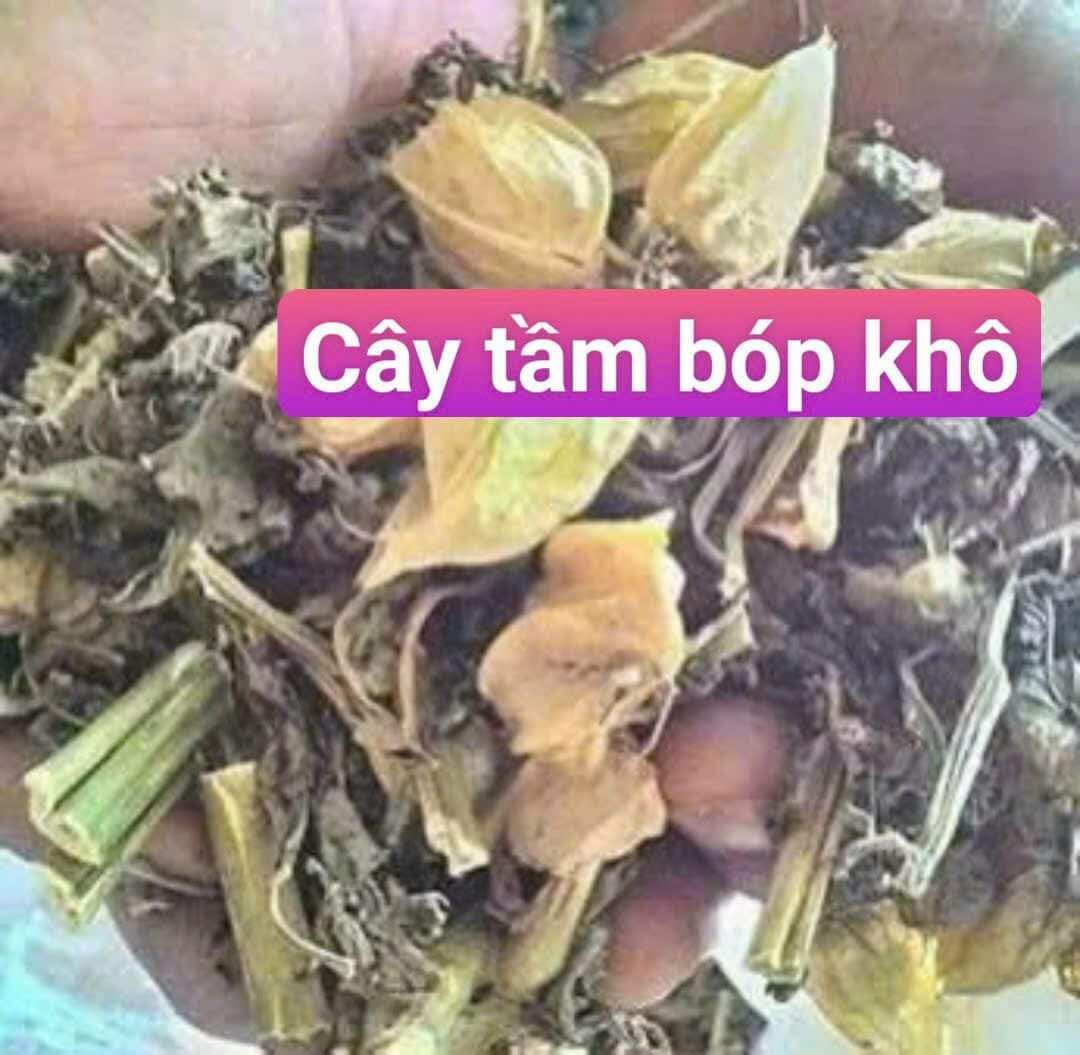 Cây Tầm Bóp Khô 1Kg ( cây thù lù, cây lồng đèn, cây bôm bốp ) hàng chuẩn loại 1