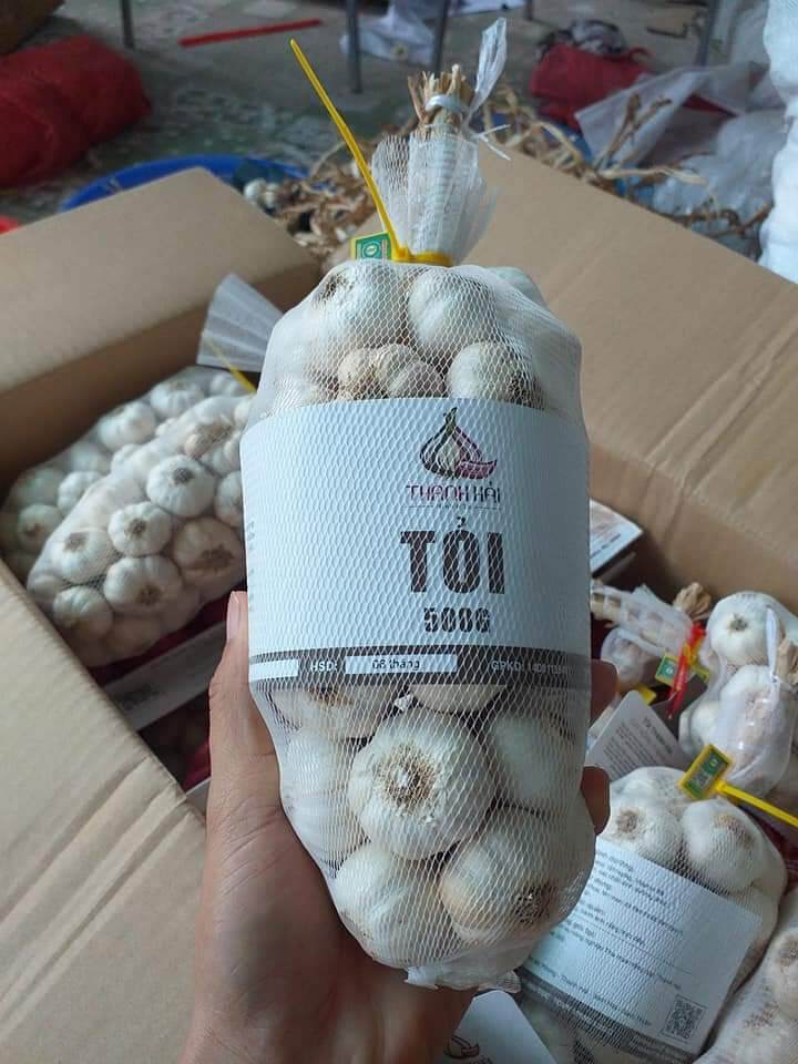500g Tỏi Phan Rang loại 1